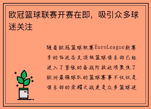 欧冠篮球联赛开赛在即，吸引众多球迷关注